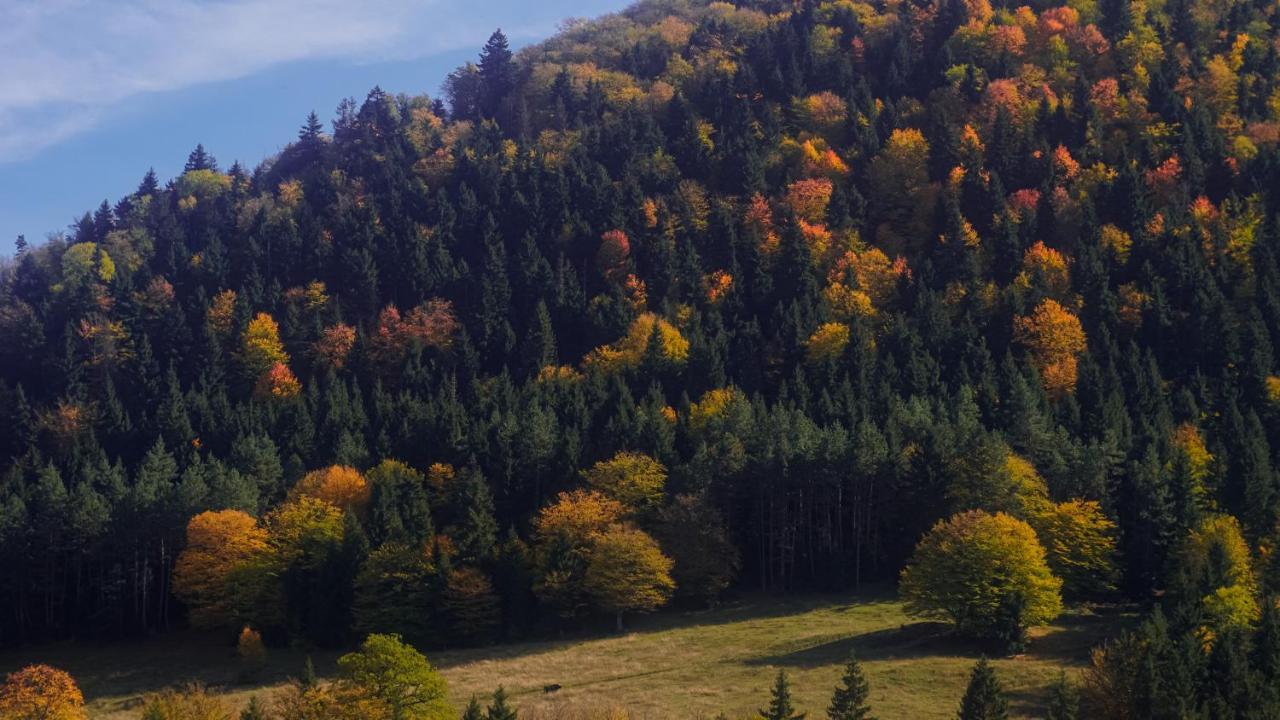 Landhaus بورجومي المظهر الخارجي الصورة