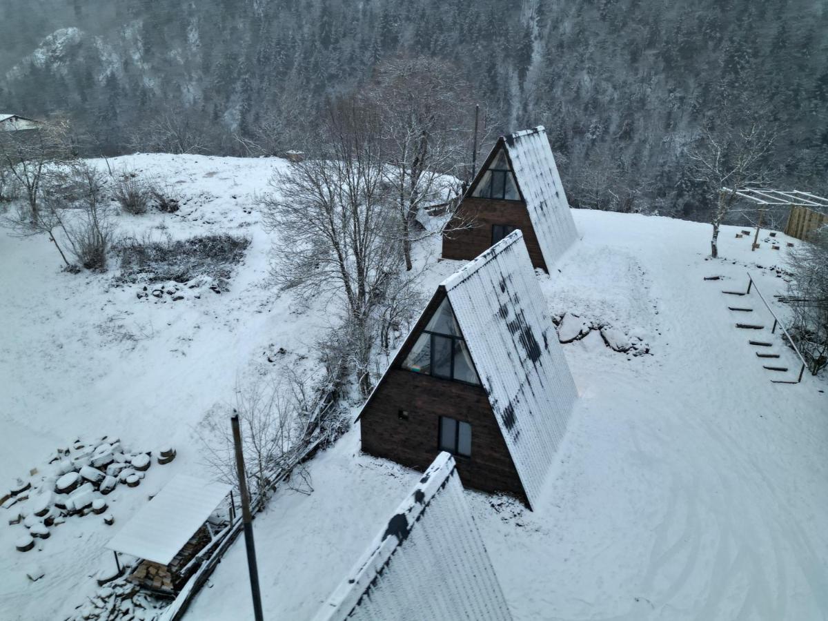 Landhaus بورجومي المظهر الخارجي الصورة