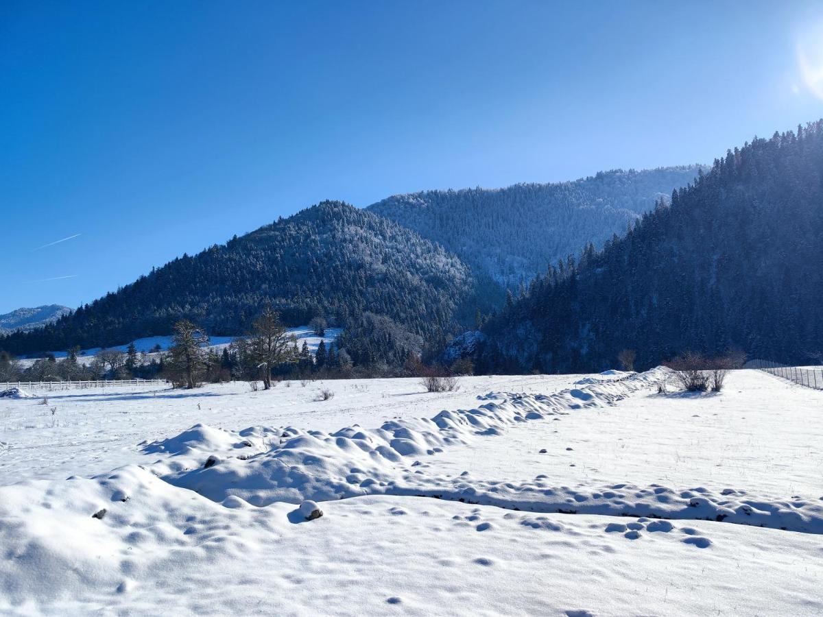 Landhaus بورجومي المظهر الخارجي الصورة