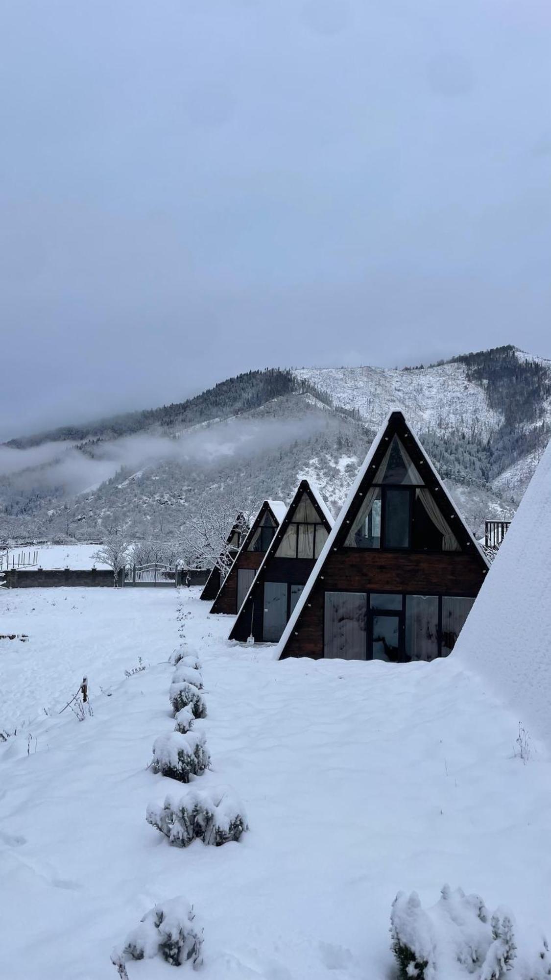 Landhaus بورجومي المظهر الخارجي الصورة
