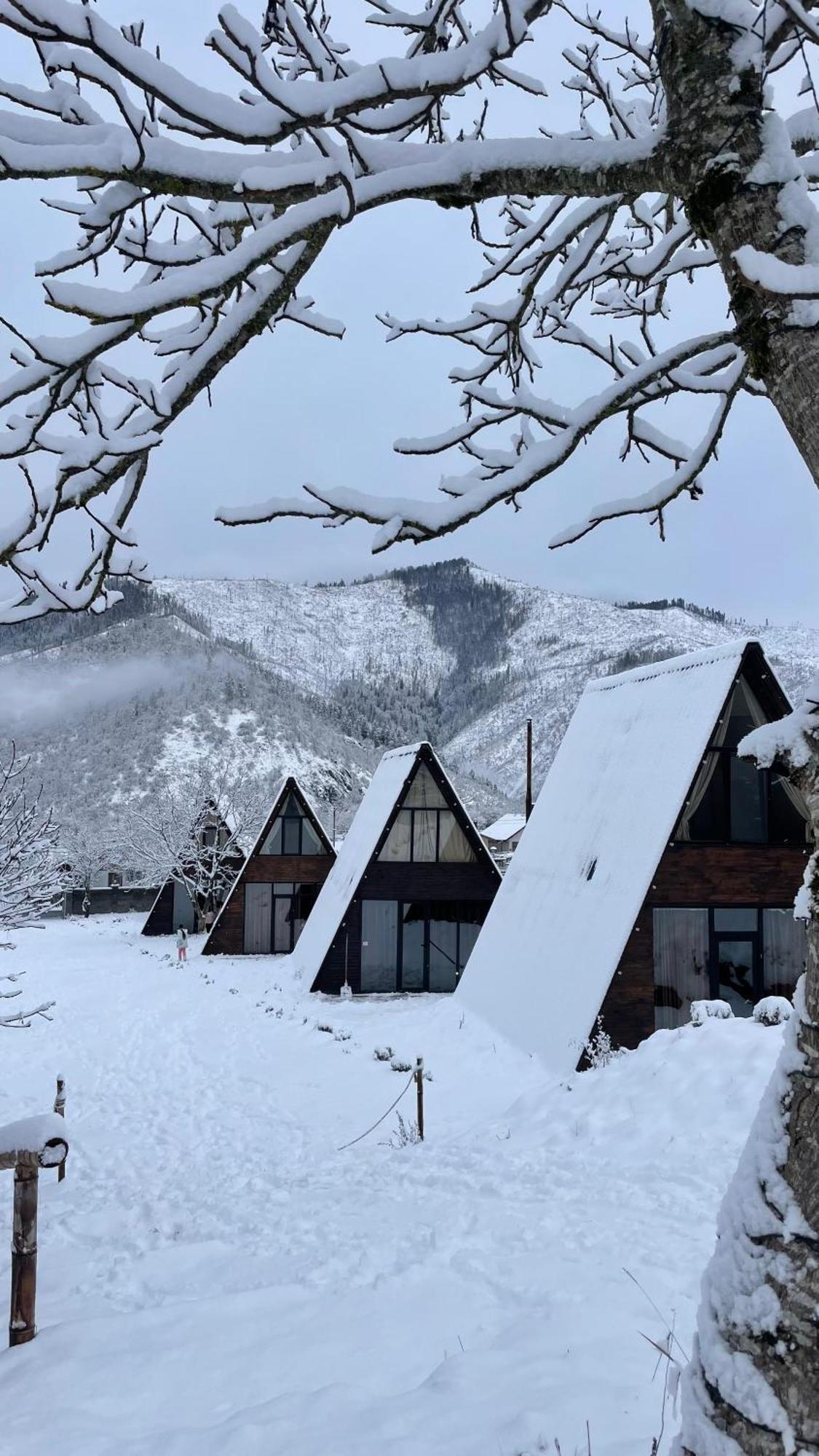 Landhaus بورجومي المظهر الخارجي الصورة