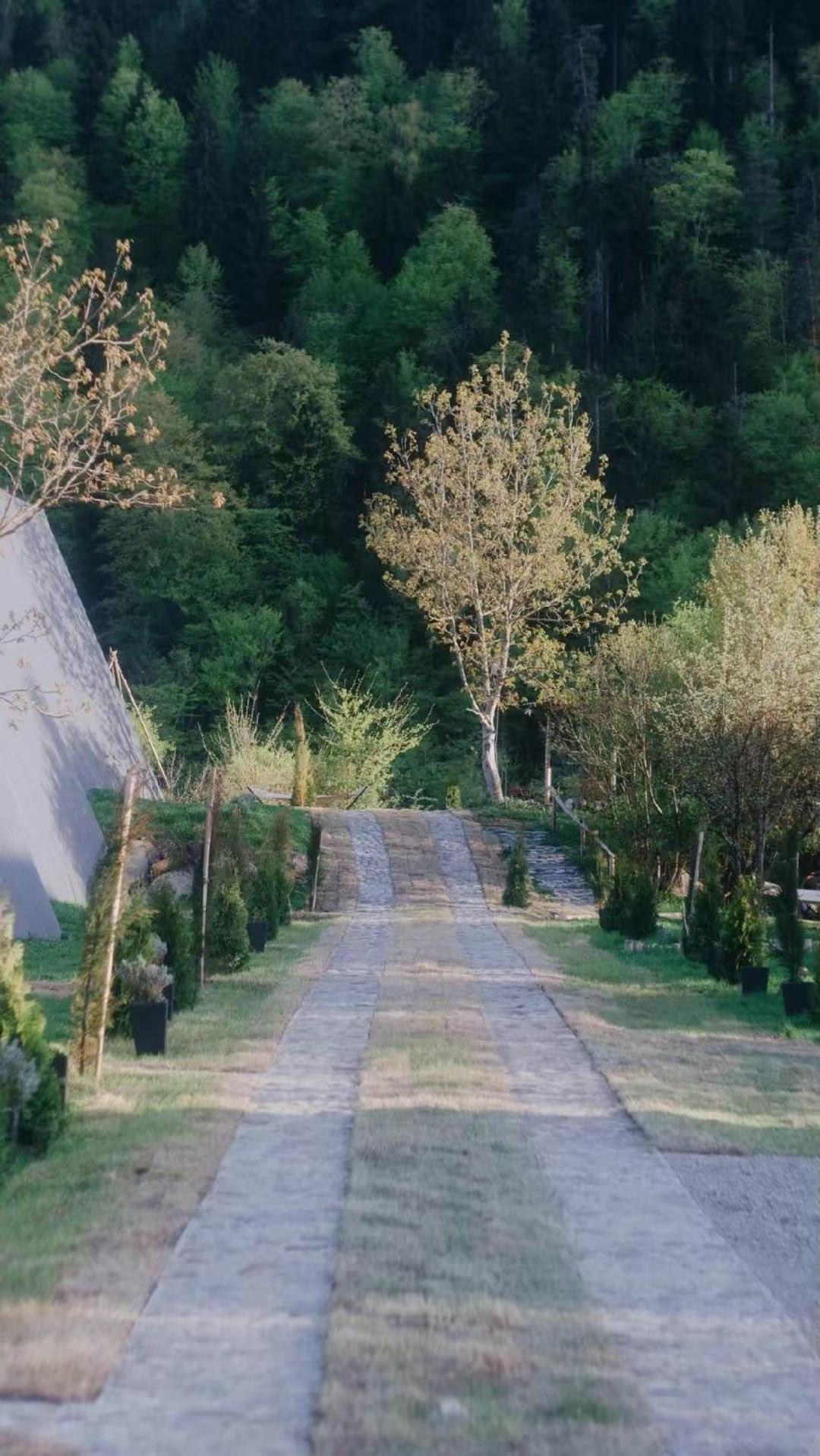 Landhaus بورجومي المظهر الخارجي الصورة