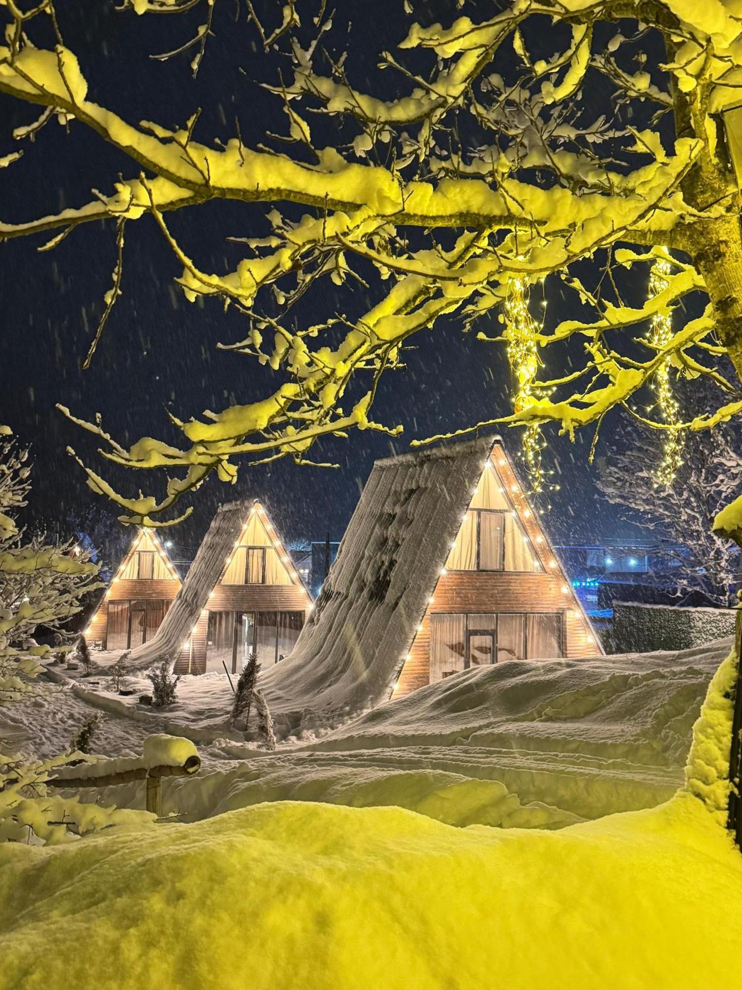 Landhaus بورجومي المظهر الخارجي الصورة